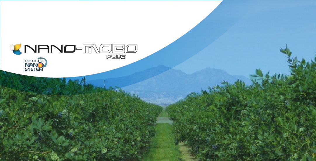 Nano Energy